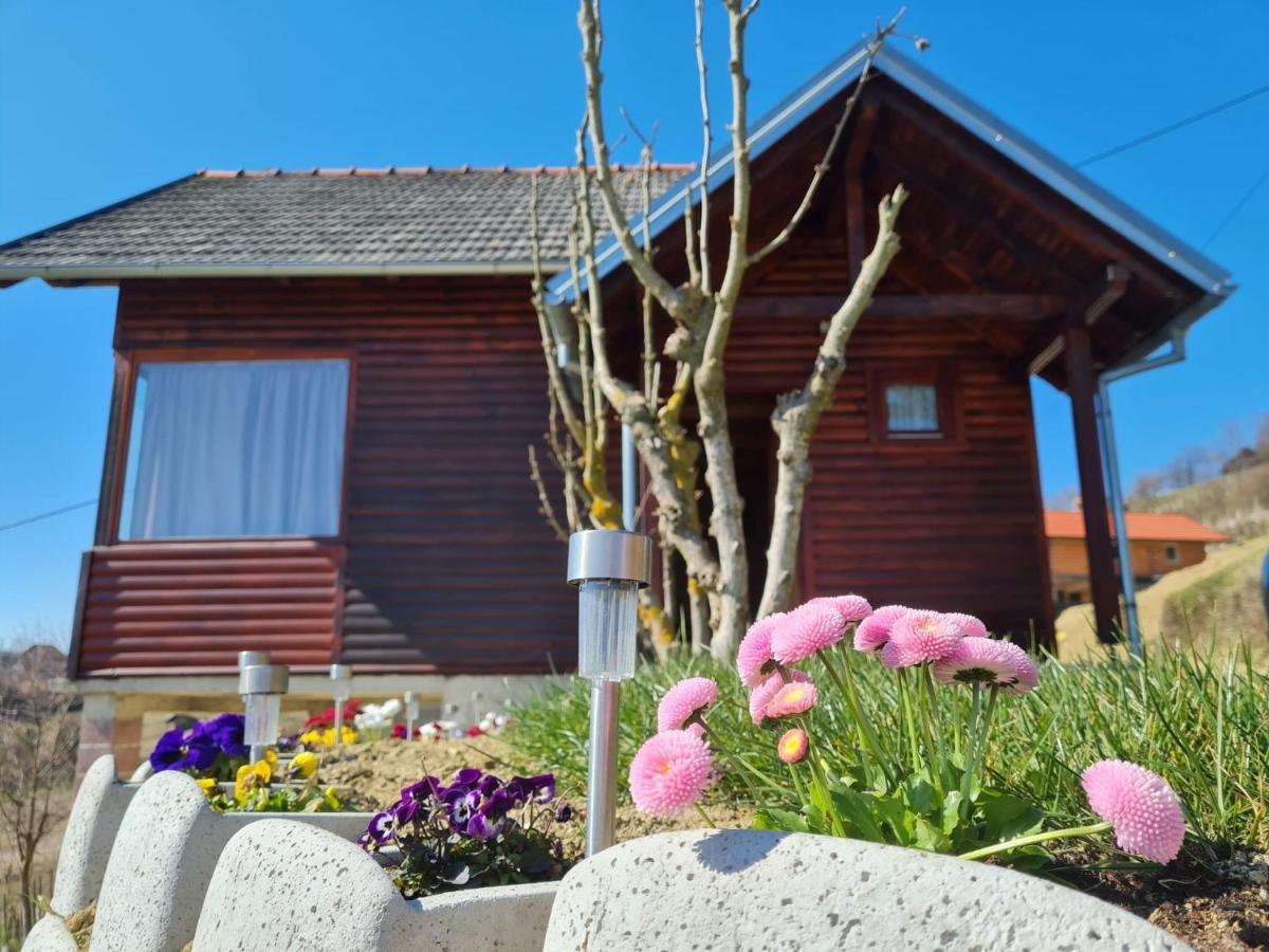 Ruralna Kuca Za Odmor Rajski Mir Villa Tuhelj Exterior photo